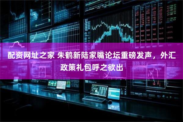配资网址之家 朱鹤新陆家嘴论坛重磅发声，外汇政策礼包呼之欲出